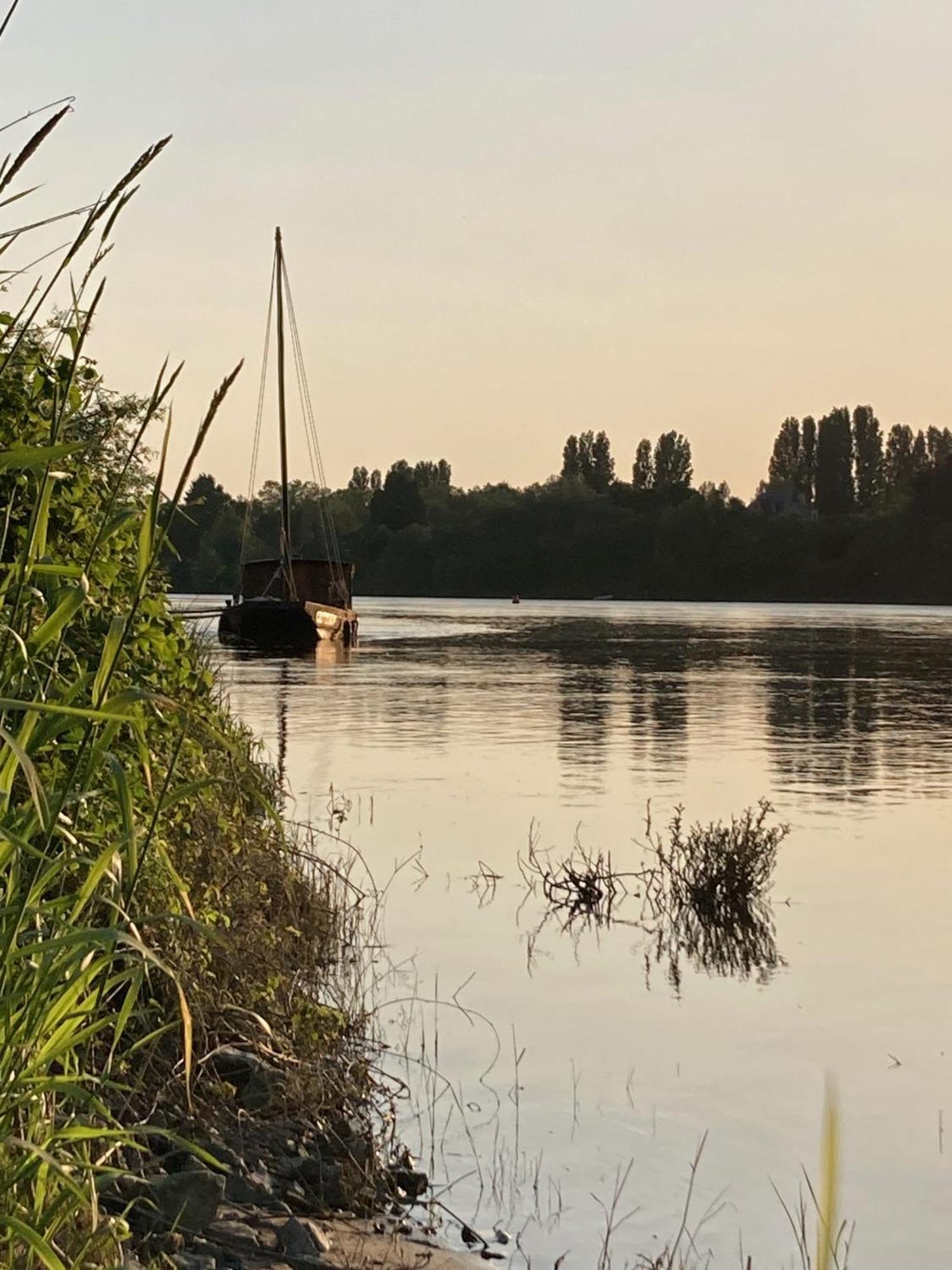 לינה וארוחת בוקר Denée O Bord De Loire מראה חיצוני תמונה