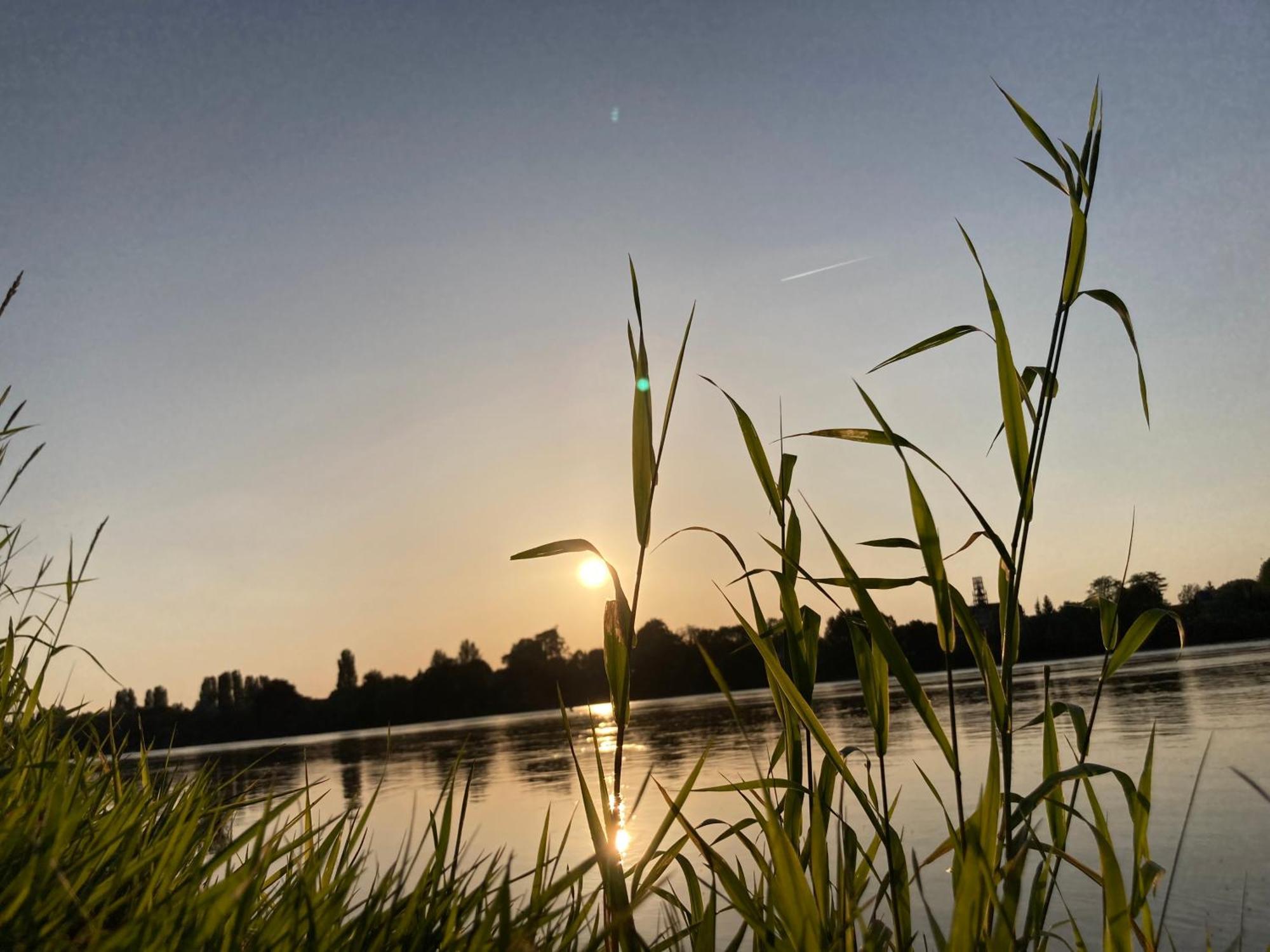 לינה וארוחת בוקר Denée O Bord De Loire מראה חיצוני תמונה